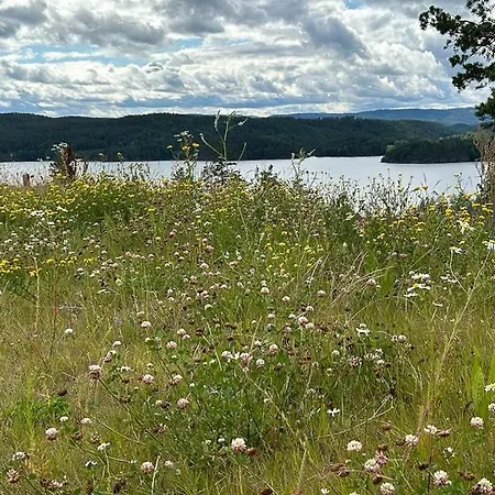 Nordic Design With A View Over Toke