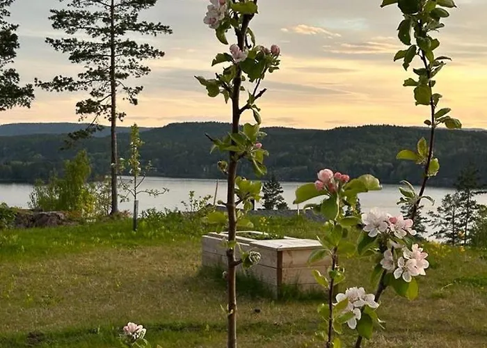 Nordic Design With A View Over Toke Casa vacanze